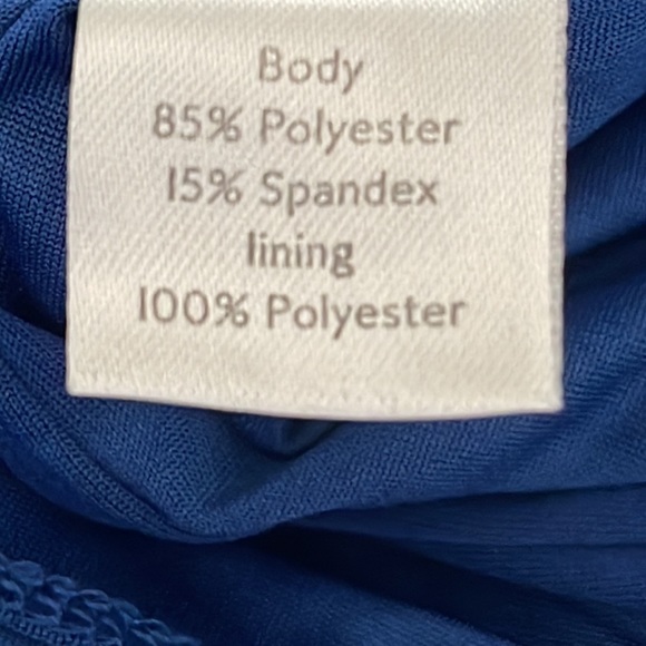 LEOTA Watercolor Stripe Aria Midi Dress Sheer with back tie detail. Size 4XL - Picture 11 of 14